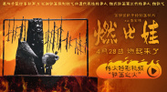 阿彼察邦二搭蒂尔达·斯文顿！